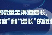 引爆流量全渠道增长,打好“获客”和“增长”的组合拳-蜗牛学社