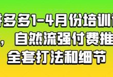 拼多多1-4月份培训课程,自然流强付费推广全套打法和细节-蜗牛学社