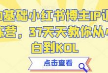 0基础小红书博主IP训练营,37天天教你从小白到KOL-蜗牛学社