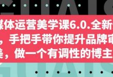 自媒体运营美学课6.0.全新升级,手把手带你提升品牌审美,做一个有调性的博主-蜗牛学社