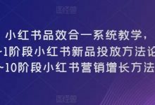 小红书品效合一系统教学,0~1阶段小红书新品投放方法论,1~10阶段小红书营销增长方法论-蜗牛学社