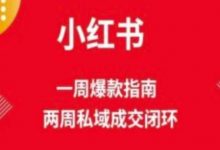 爆款小红书免费流量体系课程(两周变现),小红书电商教程-蜗牛学社