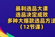 暴利选品大课:选品决定成败,教你多种大爆款选品方法(12节课)-蜗牛学社