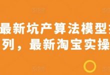 2024最新坑产算法模型打款玩法系列,最新淘宝实操玩法-蜗牛学社