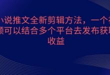 小说推文全新剪辑方法,一个视频可以结合多个平台去发布获取-蜗牛学社