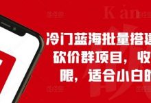 冷门蓝海批量搭建拼多多砍价群项目,收益无上限,适合小白的风口-蜗牛学社
