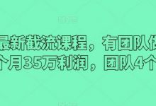 2024最新截流课程,有团队做截流一个月35万利润,团队4个人-蜗牛学社
