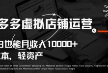 拼多多虚拟店铺运营小白也能月收入10000+-蜗牛学社