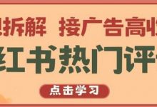 小红书热门评论,变现拆解,接广告高收入-蜗牛学社