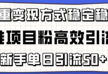 精准项目粉高效引流术,新手单日引流50+,多重变现方式稳定赚钱-蜗牛学社