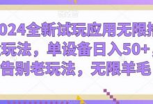 2024全新试玩应用无限撸金玩法,单设备日入50+,告别老玩法,无限羊毛-蜗牛学社
