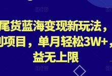 外贸尾货蓝海变现新玩法,冷门暴利项目,单月轻松3W+,收益无上限-蜗牛学社