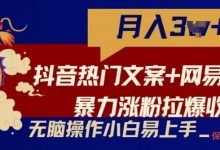 抖音热门文案+网易云截图暴力涨粉拉爆收益玩法,小白无脑操作,简单易上手-蜗牛学社