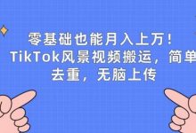 零基础也能月入上w,TikTok风景视频搬运,简单去重,无脑上传-蜗牛学社