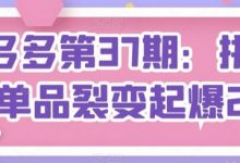拼多多第37期:拼多多单品裂变起爆2.0-蜗牛学社