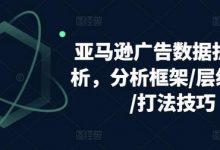 亚马逊广告数据拆解分析,分析框架/层级优化/打法技巧-蜗牛学社