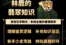 林鹿的翡翠知识,用宝石眼光,系统全面的看懂翡翠-蜗牛学社