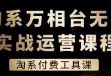 淘系万相台无界实战运营课,淘系付费工具课-蜗牛学社