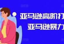 亚马逊高阶打法课,亚马逊暴力打法-蜗牛学社