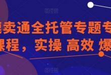 速卖通全托管专题专项课程,实操 高效 爆单-蜗牛学社
