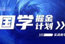 国学掘金计划2024实战教学视频教学,高复购项目长久项目-蜗牛学社