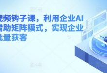 企业短视频钩子课,利用企业AI工具,借助矩阵模式,实现企业短视频批量获客-蜗牛学社