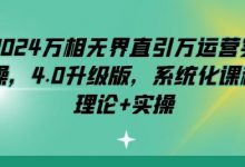 2024万相无界直引万运营实操,4.0升级版,系统化课程 理论+实操-蜗牛学社