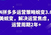 2024拼多多运营策略蜕变3.0,0-1完美蜕变,解决运营焦虑,缩短运营周期2年+-蜗牛学社