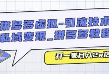 拼多多虚拟-引流技术与私域变现_拼多多教程:开一家月入2w店铺-蜗牛学社