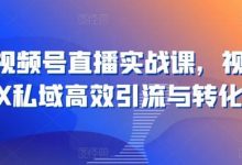 21天视频号直播实战课,视频号X私域高效引流与转化-蜗牛学社