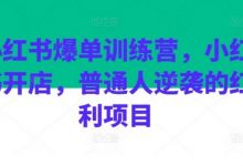 小红书爆单训练营,小红书开店,普通人逆袭的红利项目-蜗牛学社