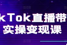 TikTok直播带货实操变现课:系统起号、科学复盘、变现链路、直播配置、小店操作流程、团队搭建等-蜗牛学社