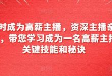 6小时成为高薪主播,资深主播亲自授课,带您学习成为一名高薪主播的关键技能和秘诀-蜗牛学社