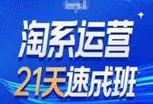 淘系运营24天速成班第28期最新万相台无界带免费流量-蜗牛学社