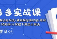 拼多多实战课:万人团玩法/截流自然流/最新强付费打法/最新原价卡大促..-蜗牛学社