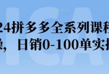 2024拼多多全系列课程实操,日销0-100单实操【必看】-蜗牛学社