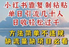 小红书靠复制粘贴单日引流几十人目收轻松过千,方法简单不违规-蜗牛学社