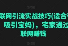 互联网引流实战技巧(适合微商,吸引宝妈),宅家通过互联网赚钱-蜗牛学社