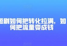 短剧如何把转化拉满,如何把流量变成钱-蜗牛学社