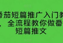番茄短篇推广入门教学,全流程教你做番茄短篇推文-蜗牛学社