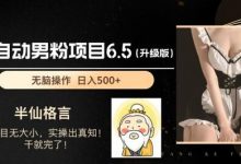 男粉项目6.5升级版,全自动男粉项目,日收入1K+-蜗牛学社