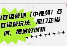 海外内容运营课【中视频】多种内容运营玩法,风口正当时,掘金好时机-蜗牛学社