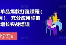 拼多多单品爆款打造课程(更新6月),充分应用你的流量,增长实战培训-蜗牛学社