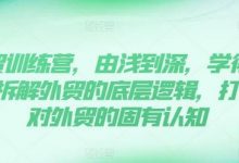 外贸训练营,由浅到深,学得超快,拆解外贸的底层逻辑,打破你对外贸的固有认知-蜗牛学社