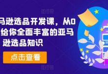 2024亚马逊选品开发课,从0到1,带给你全面丰富的亚马逊选品知识-蜗牛学社