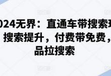 2024无界:直通车带搜索玩法,搜索提升,付费带免费,爆品拉搜索-蜗牛学社