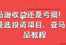 亚马逊收益还是亏损!选品就是选投资项目,亚马逊选品教程-蜗牛学社