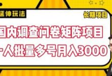 国内调查问卷矩阵项目,一人批量多号月入3000-蜗牛学社
