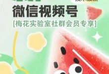 梅花实验室2024年AB技术视频号AB合成PJ版-蜗牛学社