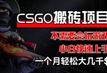 CSGO 装备搬砖项目,操作简单,不需要会玩游戏,小白也能快速上手,一个月轻松大几千-蜗牛学社